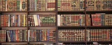 6b1808e6671dbf34728bc92ca2dc08a3 Siblings Of Ilm 1