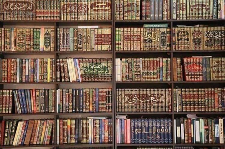 6b1808e6671dbf34728bc92ca2dc08a3 Siblings Of Ilm 4