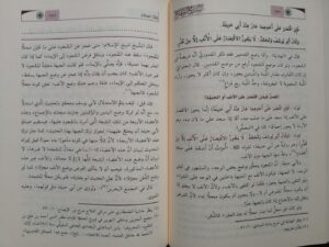 9 Siblings Of Ilm 10