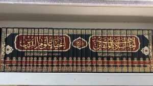 1 Siblings Of Ilm 9